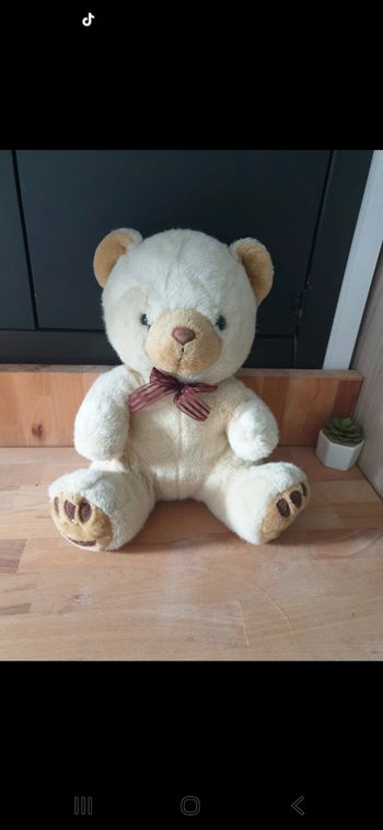 Ours peluche