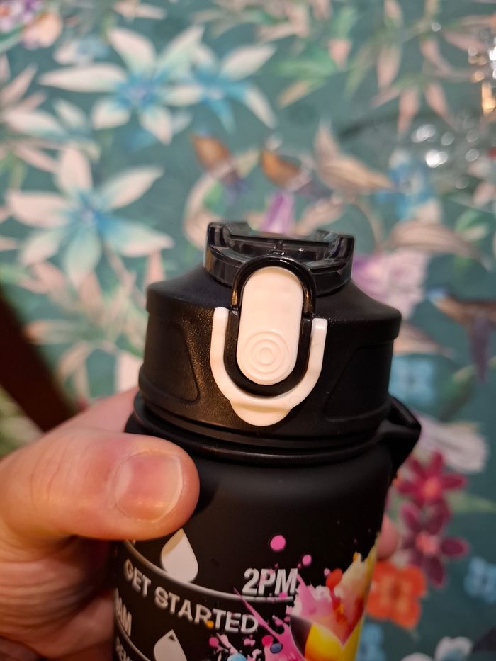 Magnifique Gourde pokemon pikatchu et compagnie neuf - photo numéro 4