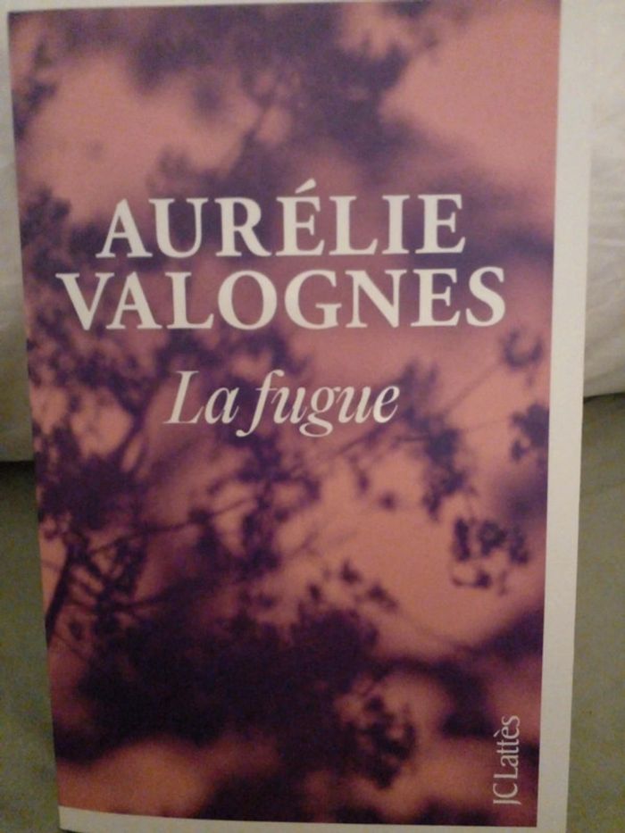 Aurélie Valognes - La fugue - photo numéro 2
