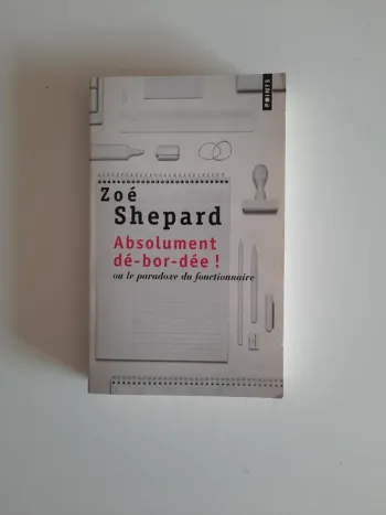livre absolument débordée