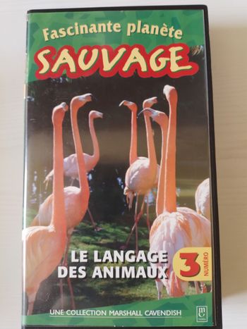 K7vhs les sauvages