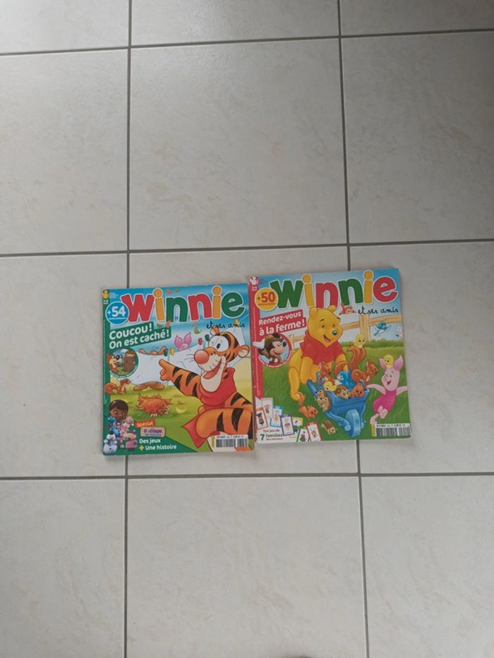 Lot de 2 livres winnie et ses amis 3-6 ans