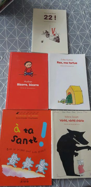 Livres idéal ce1 ce2