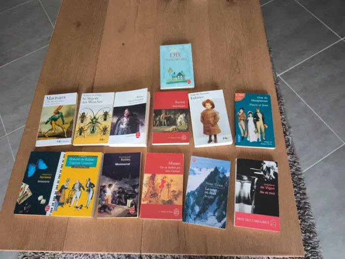 Lot de 13 livres de littérature classique - photo numéro 2