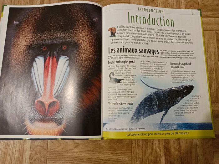 Livre " L'Atlas des juniors - Animaux - les animaux sauvages" en bon état - photo numéro 5