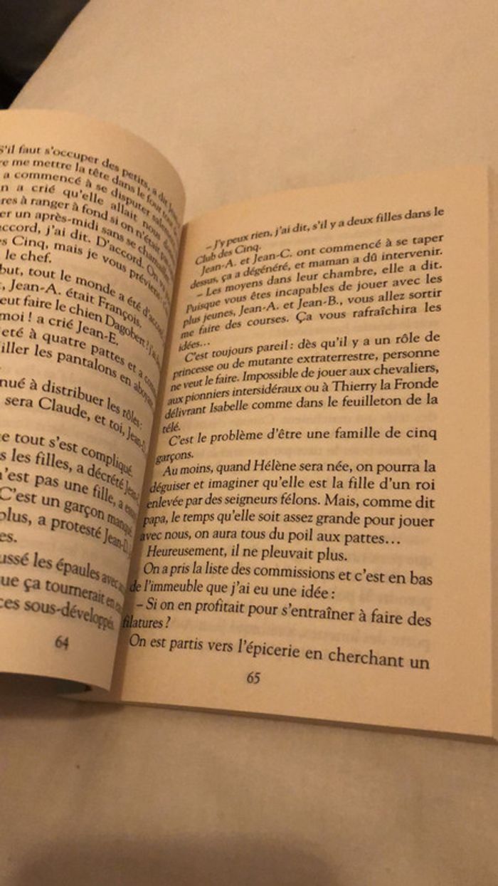 L’omelette au sucre - photo numéro 3