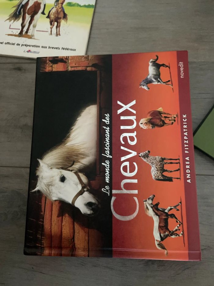 Lot de beaux livres pour passionnés de cheval chevaux équitation - photo numéro 4