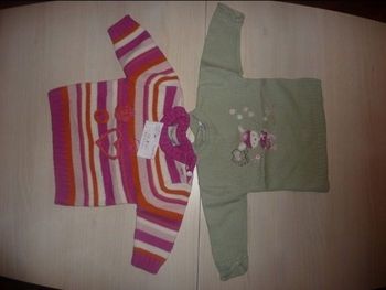 Lot de 2 pulls taille 6 mois