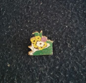 Pins les halles fleuries