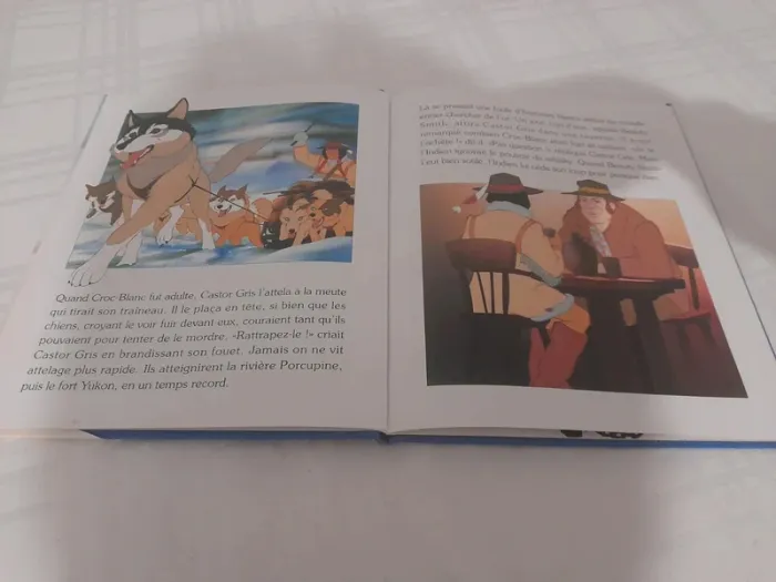 Livre croc blanc - photo numéro 9