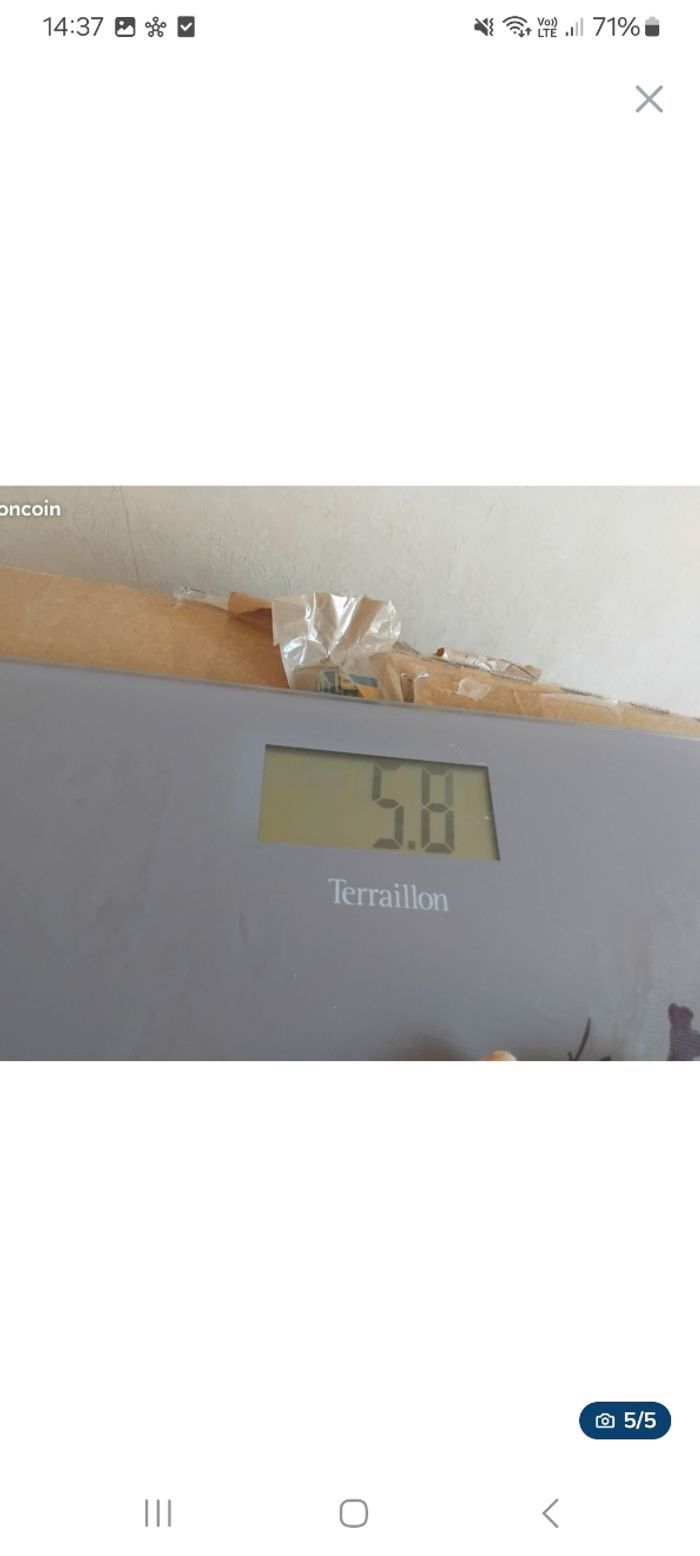 Pèse personne  teraillon - photo numéro 2