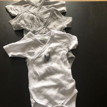 3 bodies