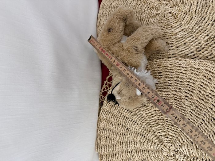 Peluche chat sauvage lynx DANI - photo numéro 6