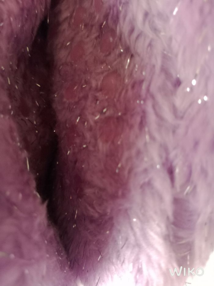 Chausson antidérapant gabby chat 23/25 - photo numéro 4