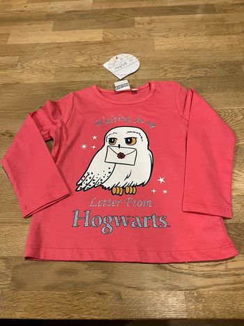 Tee shirt manche longue Harry Potter