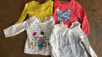 Lot tshirts manches longues 24 mois