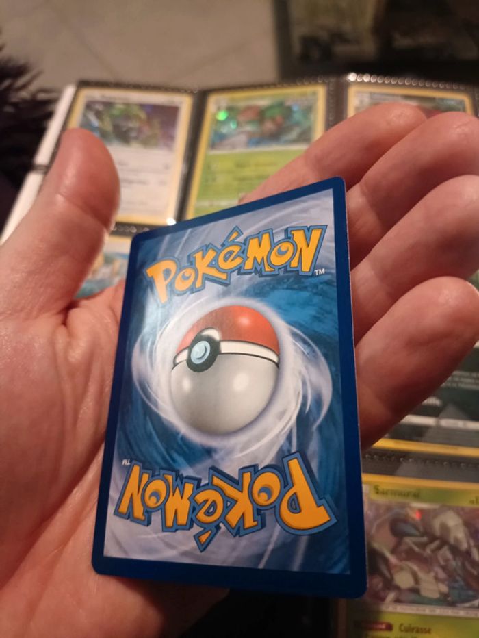 Sarmuraï - photo numéro 5