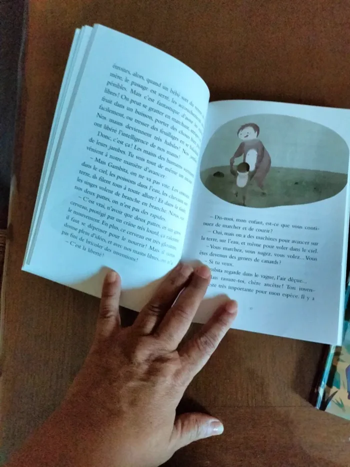 2 livres et 1 bande dessinée 7 /10 ans - photo numéro 8