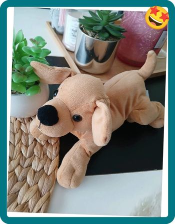 Péluche doudou chien Nicotoy🌿🎁