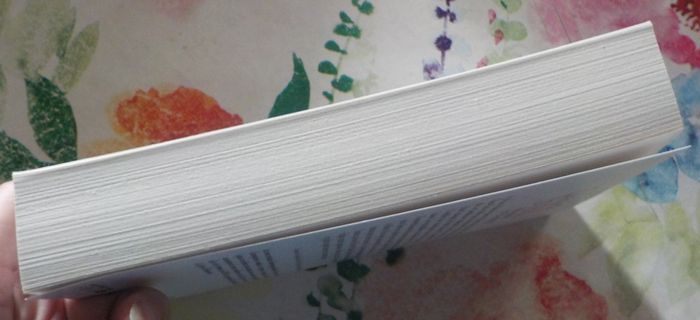 HONNEUR ET COURAGE de Danielle STEEL Ed. France Loisirs V2 - photo numéro 5