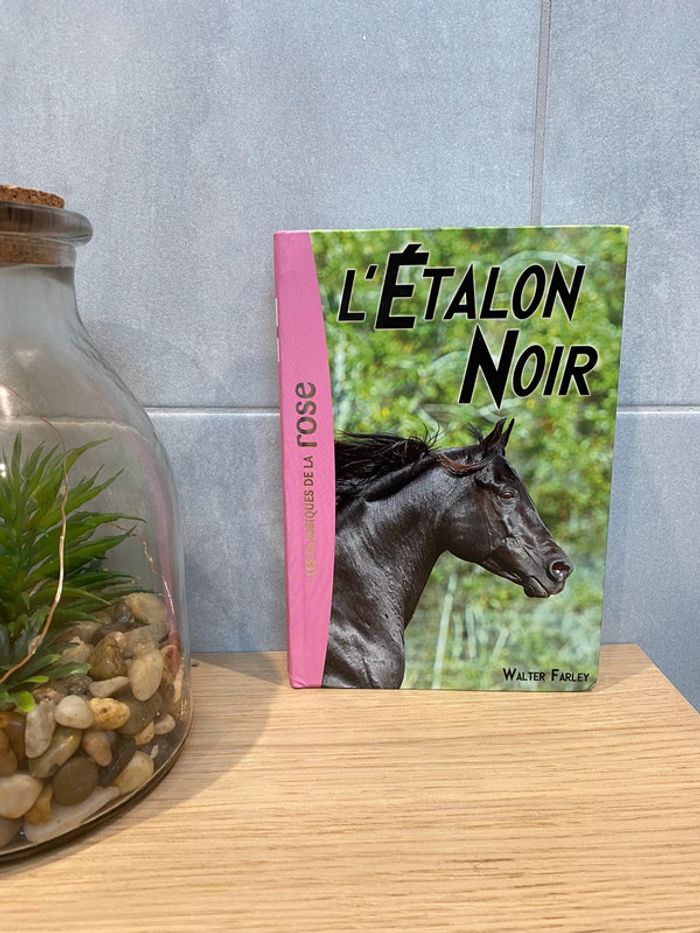 Livre l’étalon noir