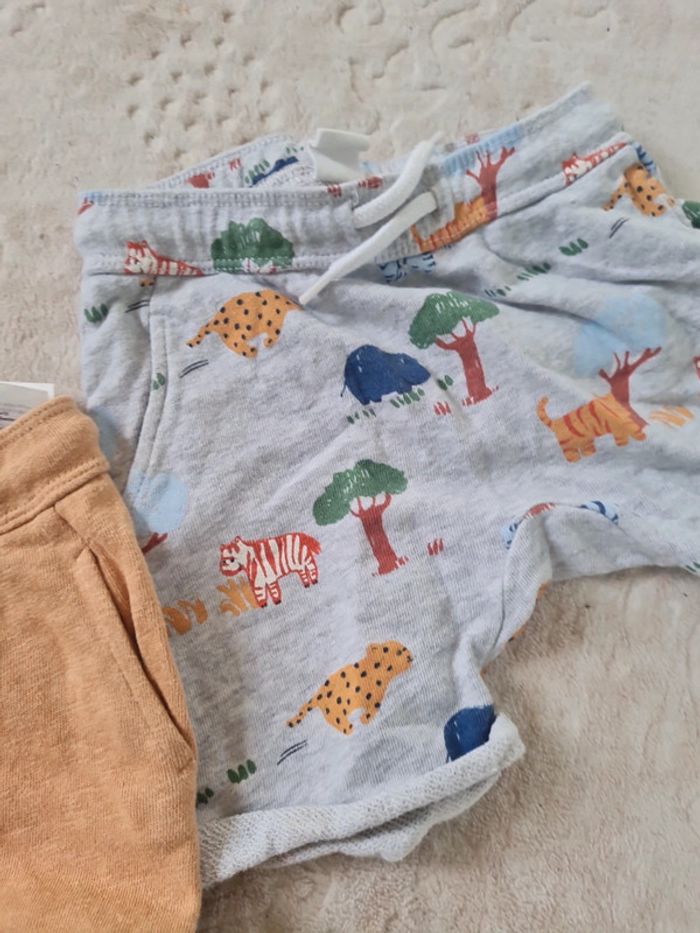 2 shorts hm 12/18 mois - photo numéro 3