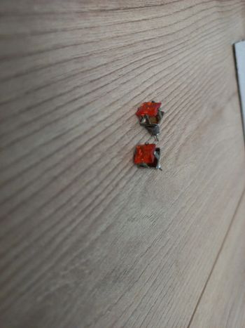 Boucles d'oreilles