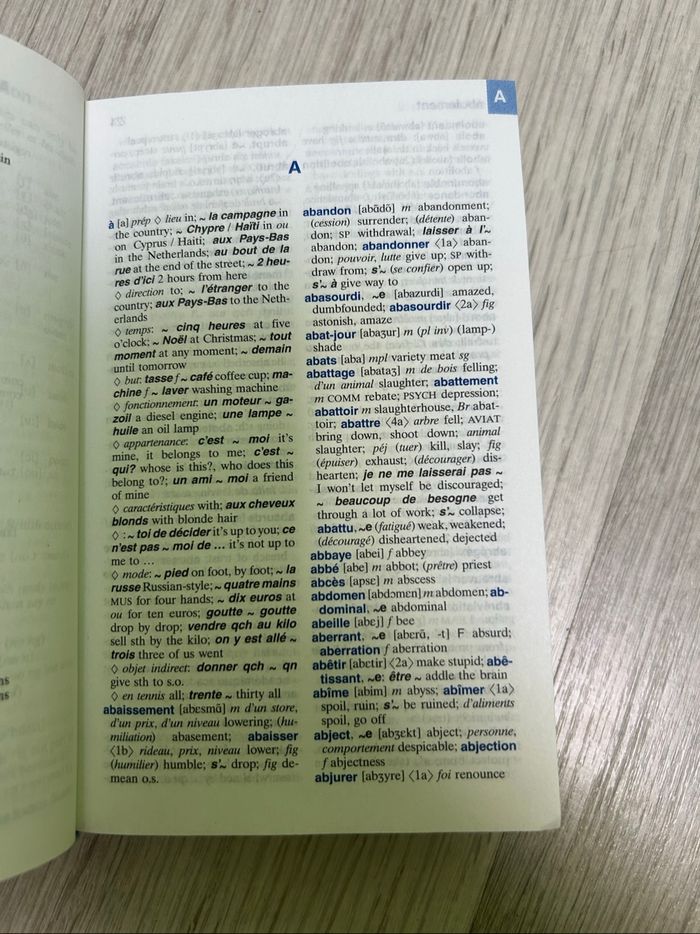 Dictionnaire - photo numéro 2