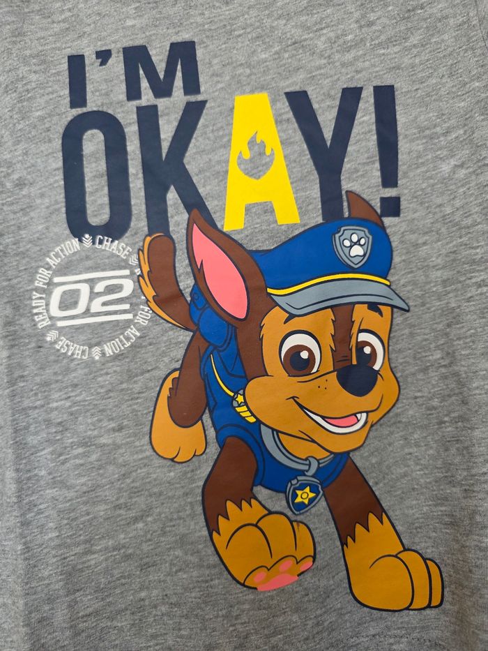 TEE-SHIRT PAW PATROL NICKELEDEON GRIS TAILLE 4ANS - photo numéro 2