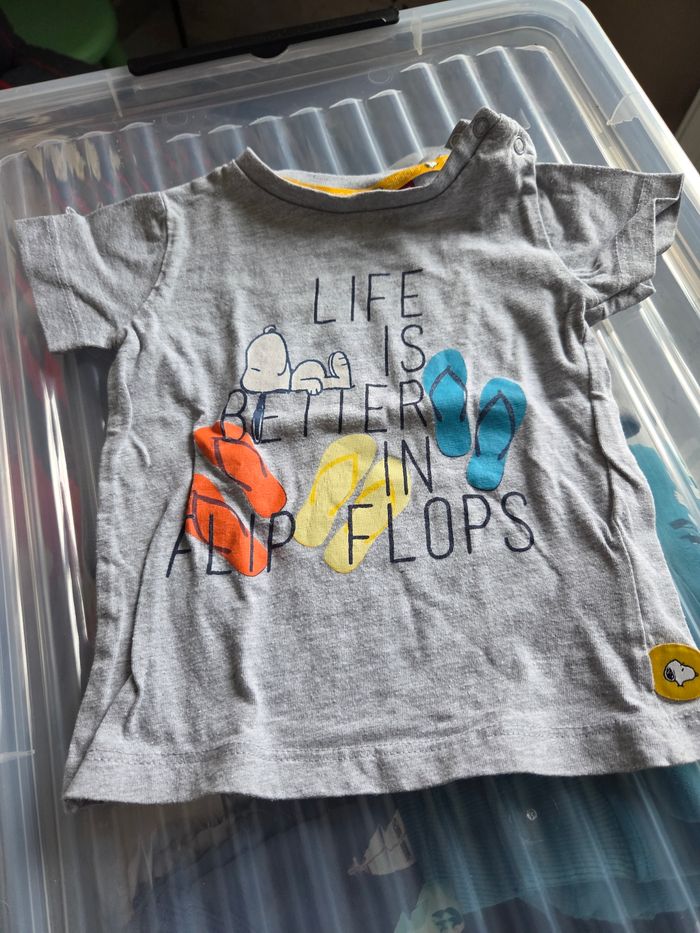 Lot de 5 tee-shirt manches courtes - photo numéro 5