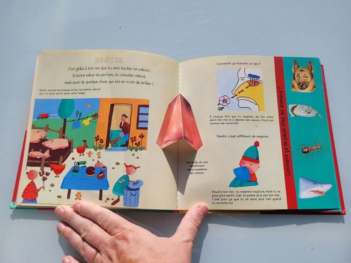 Livre animé Kididoc 👃 Les Cinq sens👂 - photo numéro 9