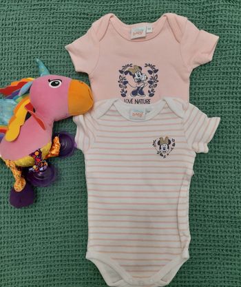 Lot bodies manche courte Minnie