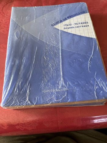 Lot de 5 cahiers de brouillon neuf