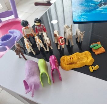 Lot cheval, poulain, âne et son petit, cavalière