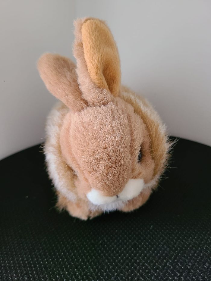 doudou lapin - photo numéro 4