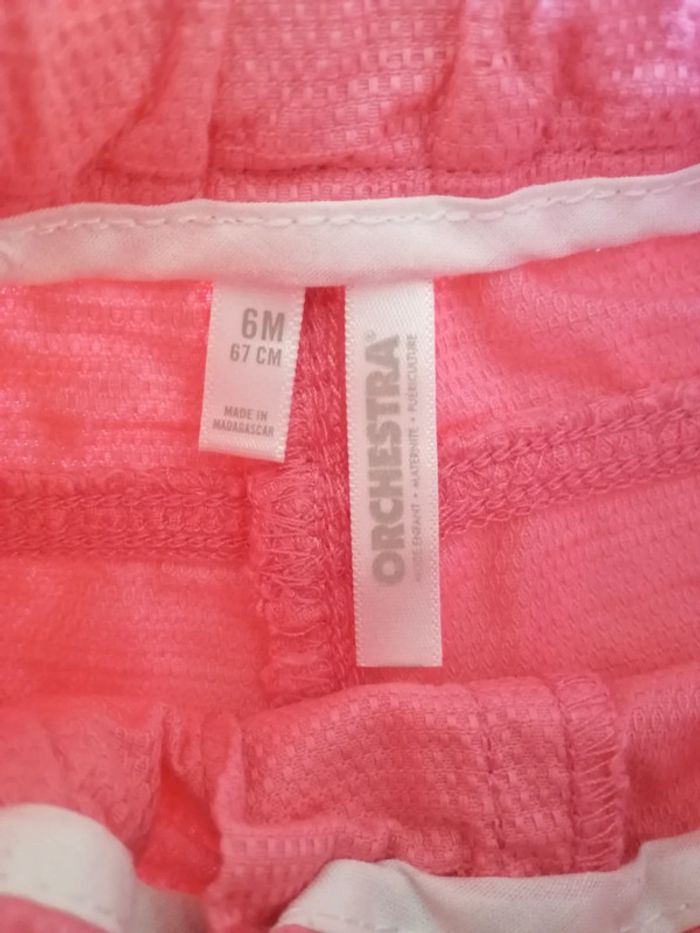 Short rose - photo numéro 3