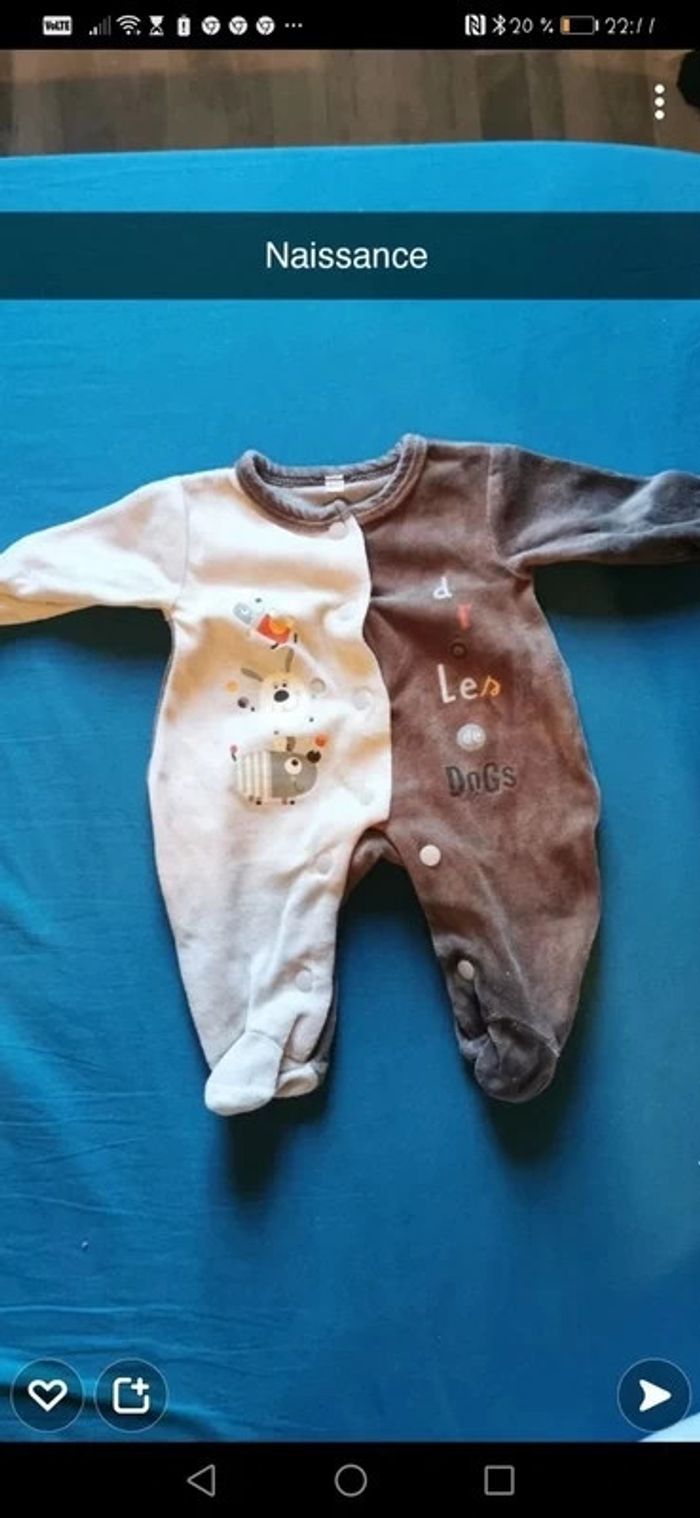 Pyjama chien naissance mixte