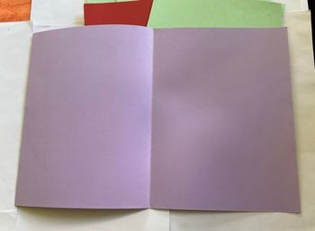 Lot 6 chemises cartonnées