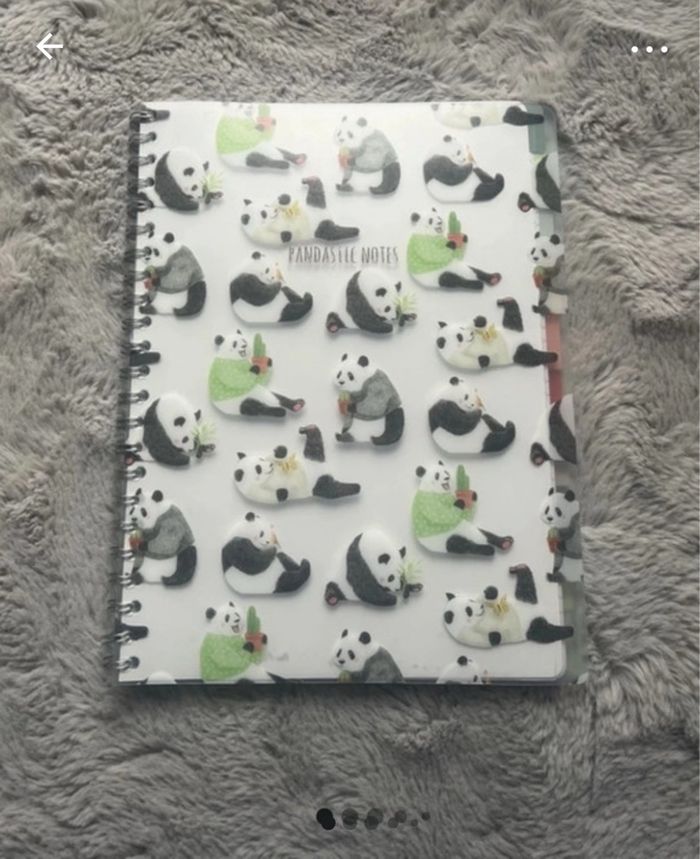 Bloc note spiral panda