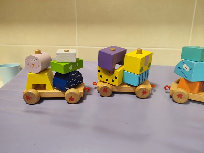 Train bois - photo numéro 8