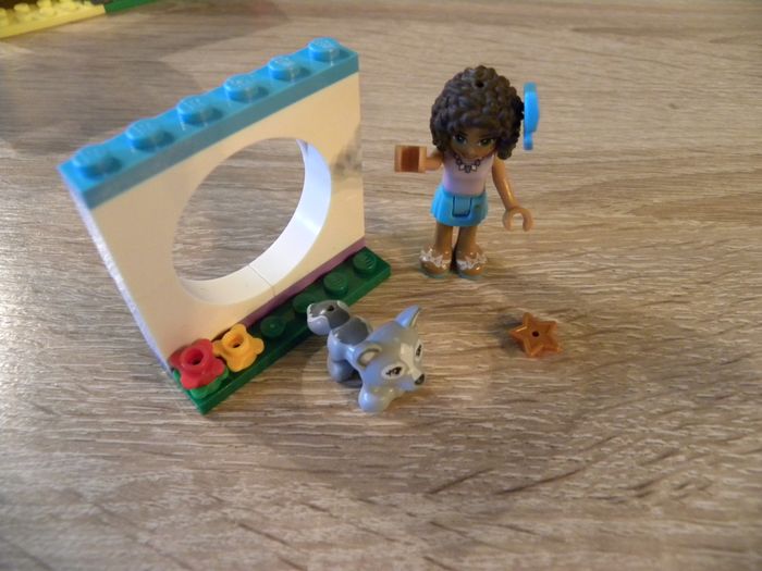 LEGO Friends la garderie pour chiots de Heartlake city 41124 - photo numéro 6