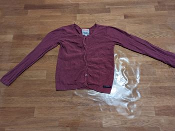 Gilet fille 5 ans Lisa Rose