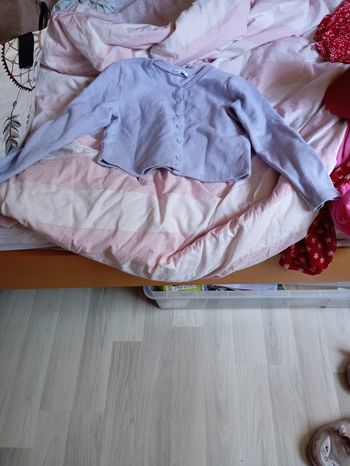 petite veste bleue zara