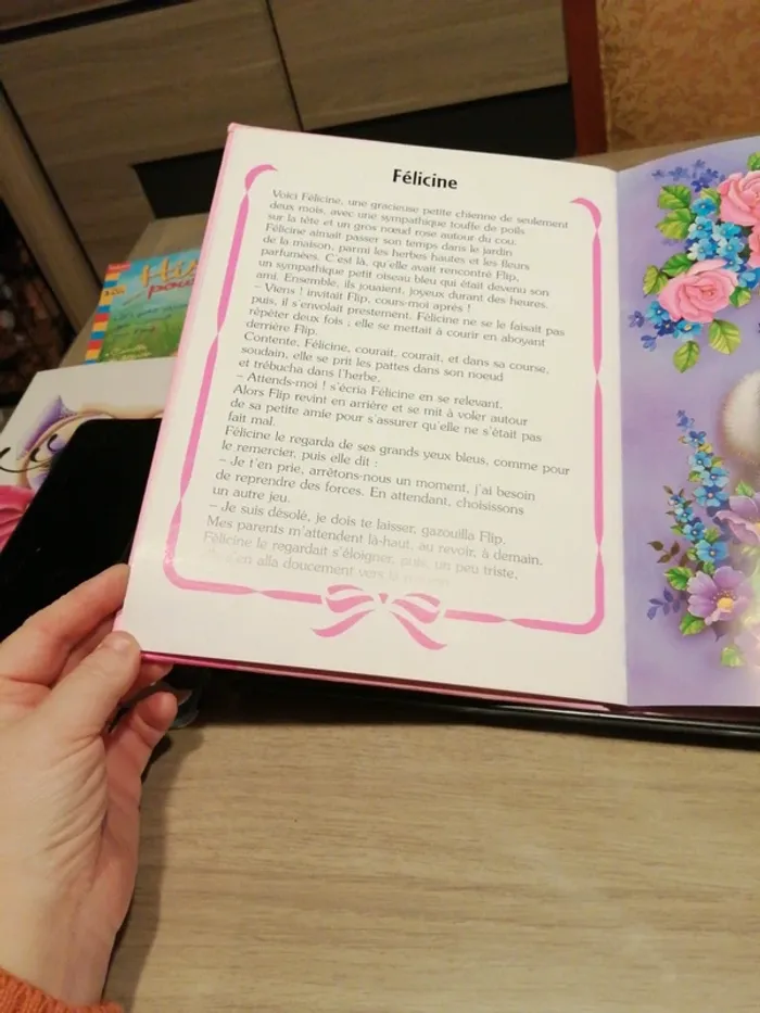 Livre - photo numéro 2