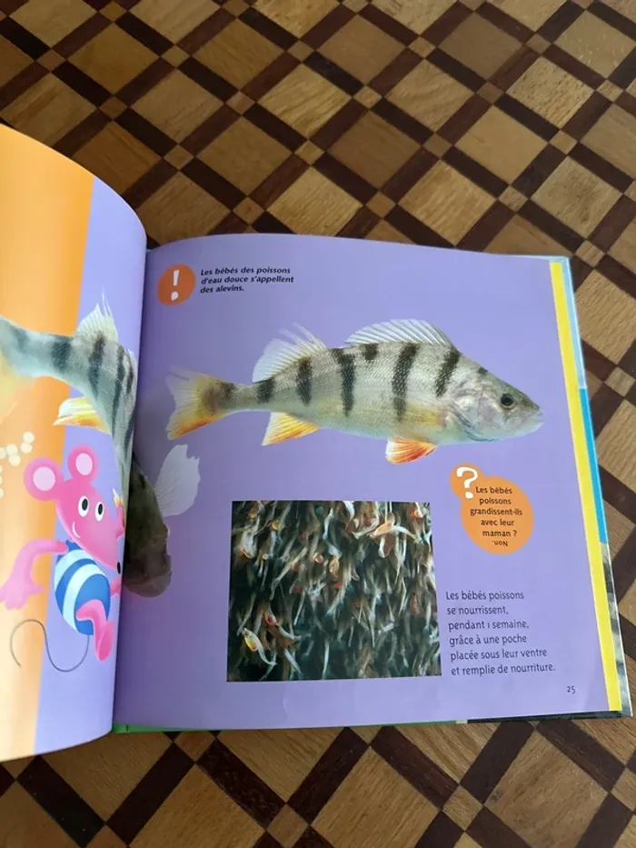 Livre cartonné Les bébés animaux - photo numéro 4