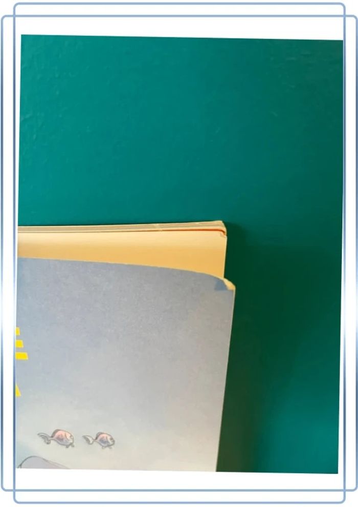 Livre école des loisirs capitaine maman - photo numéro 2