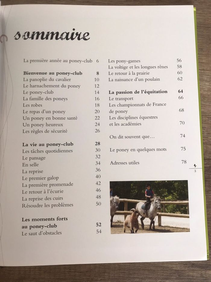 Livre « Une année au poney-club » Éditions Fleurus - photo numéro 3