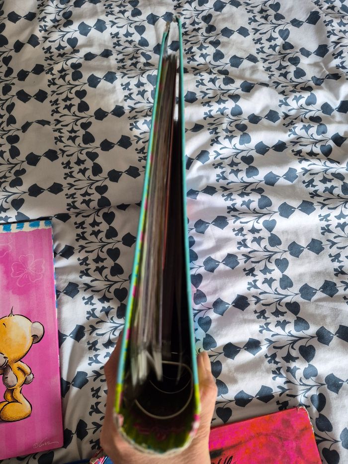 Classeur diddl - photo numéro 3