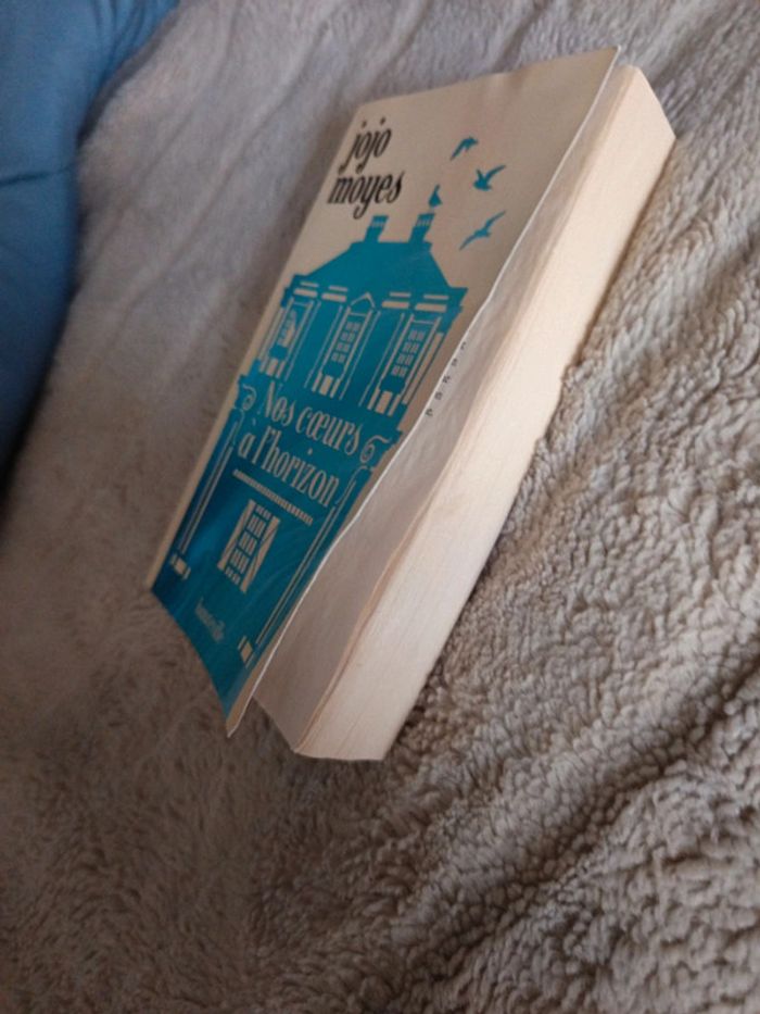 Nos cœurs à l'horizon de Jojo Meyes - photo numéro 5