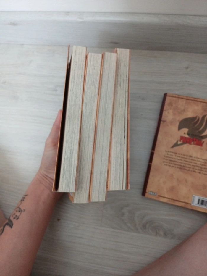 Lot fairy tail tome 1 à 5 - photo numéro 18